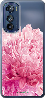 Силіконовий чехол Хризантема для Motorola Edge 30 - 4666u-2840 изображение 