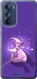 Силиконовый чехол Кот2 для Motorola Edge 30 - 4676u-2840 изображение 