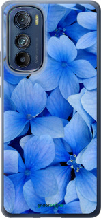 Силиконовый чехол Синие цветы для Motorola Edge 30 - 526u-2840 изображение 