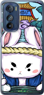 Силиконовый чехол № 5342 для Motorola Edge 30 - 5342u-2840 изображение 