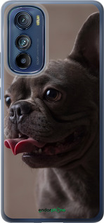 Силиконовый чехол Милый бульдог для Motorola Edge 30 - 5546u-2840 изображение 