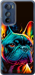 Силиконовый чехол Яркий бульдог для Motorola Edge 30 - 5547u-2840 изображение 