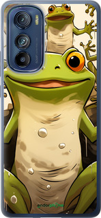 Силіконовий чехол Весела жаба для Motorola Edge 30 - 5658u-2840 изображение 