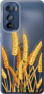 Силиконовый чехол Колоски пшеници для Motorola Edge 30 - 5866u-2840 изображение 