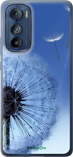 Силиконовый чехол Одуванчик для Motorola Edge 30 - 6005u-2840 изображение 