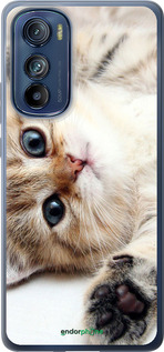 Силиконовый чехол Котик для Motorola Edge 30 - 6024u-2840 изображение 