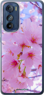 Силиконовый чехол Сакура для Motorola Edge 30 - 6029u-2840 изображение 