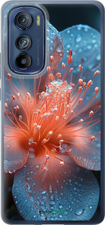 Силиконовый чехол Роса на цветке для Motorola Edge 30 - 6039u-2840 изображение 