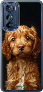 Силиконовый чехол Cocker spaniel на черном фоне для Motorola Edge 30 - 6137u-2840 изображение 