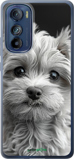 Силиконовый чехол Мальтипу на чорном фоне для Motorola Edge 30 - 6156u-2840 изображение 