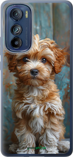 Силиконовый чехол Щенок мальтипу для Motorola Edge 30 - 6157u-2840 изображение 