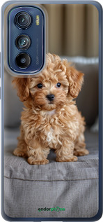 Силиконовый чехол Mini-maltipoo для Motorola Edge 30 - 6158u-2840 изображение 