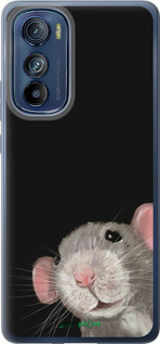 Силиконовый чехол The Peeking Rat для Motorola Edge 30 - 6442u-2840 изображение 