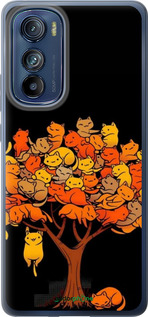 Силиконовый чехол Дерево и котики для Motorola Edge 30 - 6516u-2840 изображение 