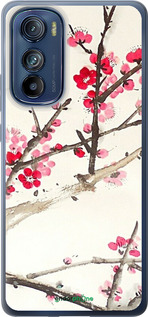 Силиконовый чехол Принт с изображением цветения сакуры для Motorola Edge 30 - 6545u-2840 изображение 