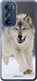Силіконовий чехол Вовк, що біжить для Motorola Edge 30 - 826u-2840 изображение 