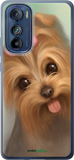 Силиконовый чехол Нарисованный йоркширский терьер для Motorola Edge 30 - 928u-2840 изображение 