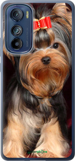 Силиконовый чехол Йоркширский терьер для Motorola Edge 30 - 929u-2840 изображение 