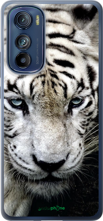 Силиконовый чехол Грустный белый тигр для Motorola Edge 30 - 106u-2840 изображение 
