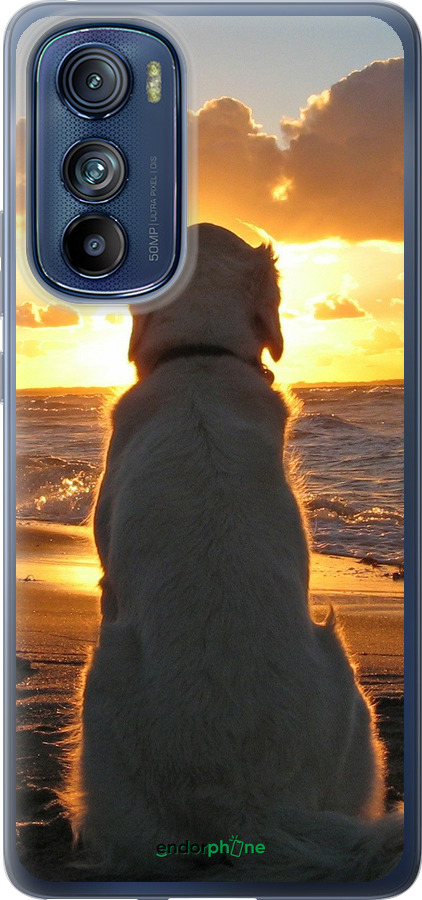 Силиконовый чехол Закат и собака для Motorola Edge 30 - 3966u-2840 изображение 