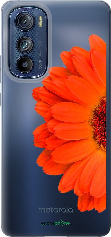 Силіконовий чехол Гербера 1 для Motorola Edge 30 - 4534u-2840 изображение 