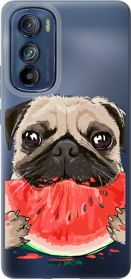 Силиконовый чехол Мопс и арбуз для Motorola Edge 30 - 4665u-2840 изображение 
