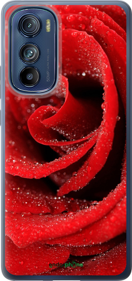 Силиконовый чехол Красная роза для Motorola Edge 30 - 529u-2840 изображение 