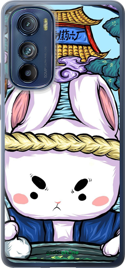 Силиконовый чехол № 5342 для Motorola Edge 30 - 5342u-2840 изображение 