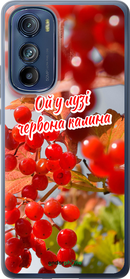 Силиконовый чехол Калина для Motorola Edge 30 - 5454u-2840 изображение 