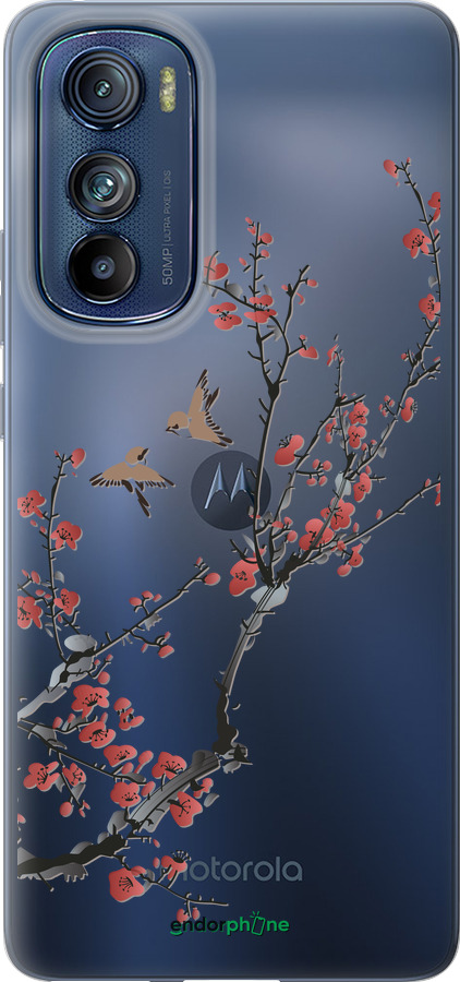 Силиконовый чехол Сакура v2 для Motorola Edge 30 - 5538u-2840 изображение 