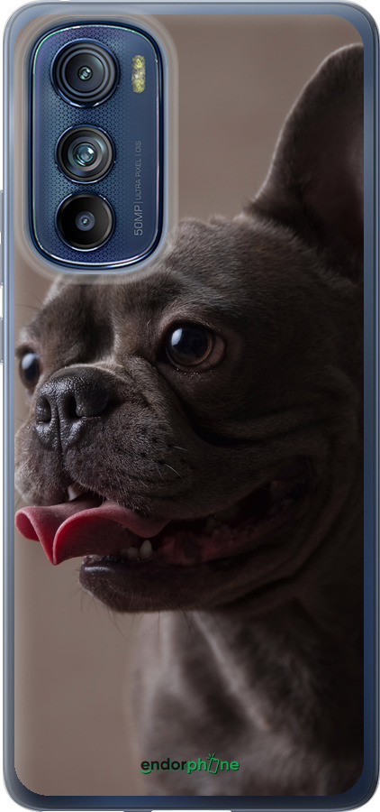 Силиконовый чехол Милый бульдог для Motorola Edge 30 - 5546u-2840 изображение 