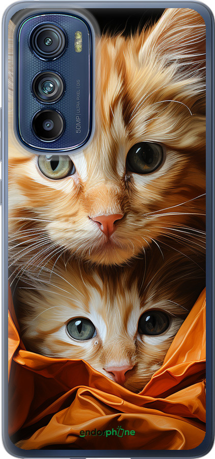 Силиконовый чехол Котики 2 для Motorola Edge 30 - 5664u-2840 изображение 
