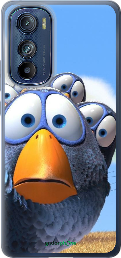Силиконовый чехол Angry Birds для Motorola Edge 30 - 6008u-2840 изображение 