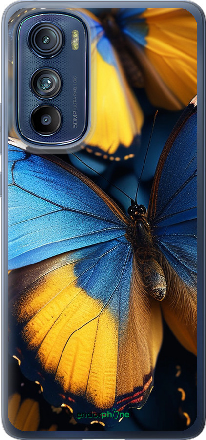 Силиконовый чехол Желто-голубые бабочки для Motorola Edge 30 - 6046u-2840 изображение 