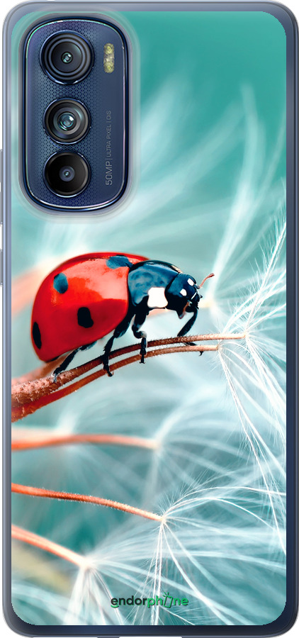 Силиконовый чехол Божья коровка для Motorola Edge 30 - 6049u-2840 изображение 