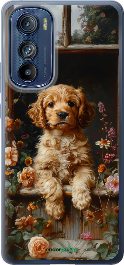 Силиконовый чехол Щенок cocker spaniel для Motorola Edge 30 - 6136u-2840 изображение 