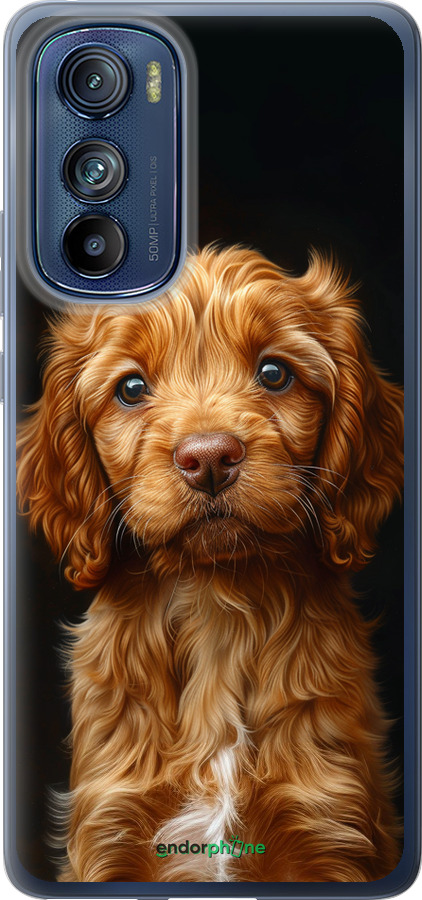 Силиконовый чехол Cocker spaniel на черном фоне для Motorola Edge 30 - 6137u-2840 изображение 