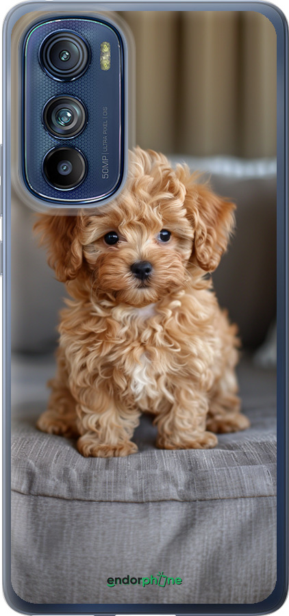 Силиконовый чехол Mini-maltipoo для Motorola Edge 30 - 6158u-2840 изображение 