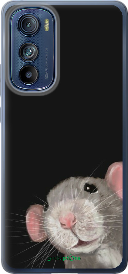 Силиконовый чехол The Peeking Rat для Motorola Edge 30 - 6442u-2840 изображение 
