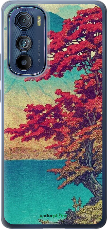 Силиконовый чехол С изображением природы для Motorola Edge 30 - 6469u-2840 изображение 