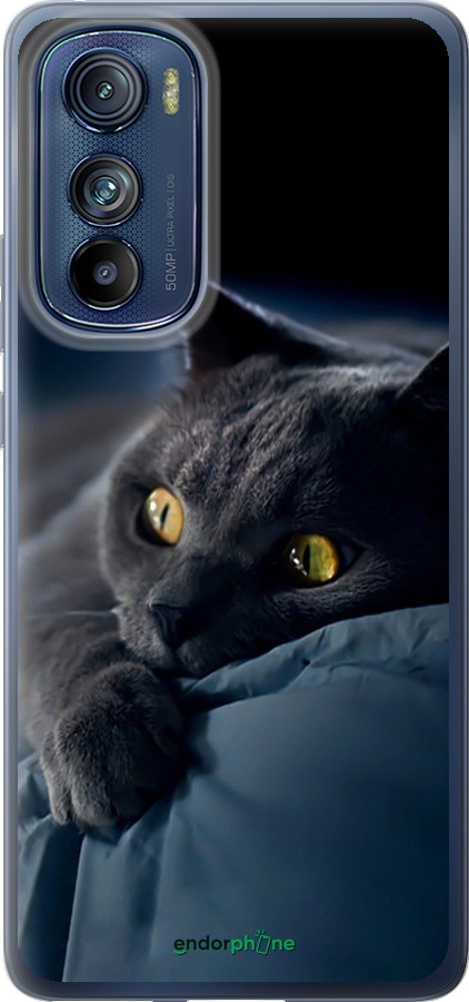 Силиконовый чехол Дымчатый кот для Motorola Edge 30 - 825u-2840 изображение 