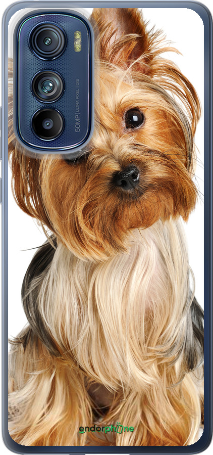 Силиконовый чехол Йоркширский терьер с хвостиком для Motorola Edge 30 - 930u-2840 изображение 