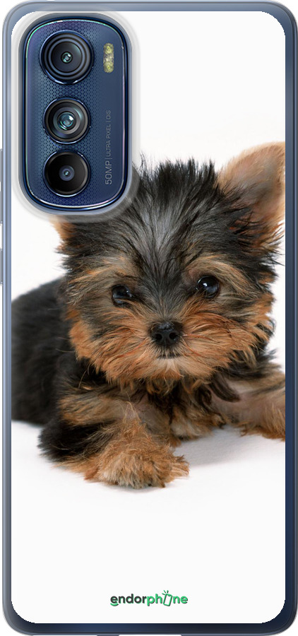 Силиконовый чехол Щенок йоркширского терьера для Motorola Edge 30 - 931u-2840 изображение 