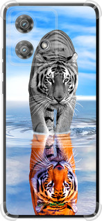 Силикон с усиленными углами чехол Тигр для Motorola Edge 40 Neo - 6016sp-3342 изображение 