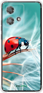 Силикон с усиленными углами чехол Божья коровка для Motorola Edge 40 Neo - 6049sp-3342 изображение 