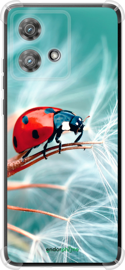 Силикон с усиленными углами чехол Божья коровка для Motorola Edge 40 Neo - 6049sp-3342 изображение 