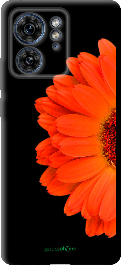 TPU чехол Гербера 1 для Motorola Edge 40 - 4534b-3335 изображение 