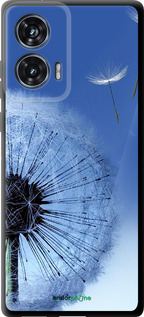 TPU чехол Одуванчик для Motorola Edge 50 Fusion - 6005b-3748 изображение 