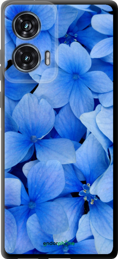 TPU чехол Синие цветы для Motorola Edge 50 Fusion - 526b-3748 изображение 