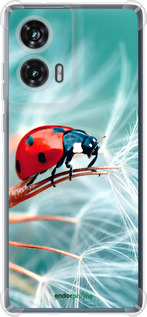 Силикон с усиленными углами чехол Божья коровка для Motorola Edge 50 Fusion - 6049sp-3748 изображение 